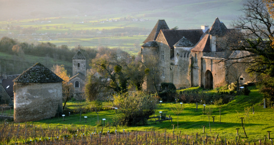 Château Pontus de Tyard, Bissy-sur-Fley